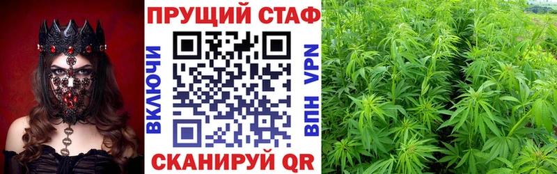 Купить наркоту Новочебоксарск kraken tor  Кокаин  ГАШ  Альфа ПВП  Меф мяу мяу  Канабис 