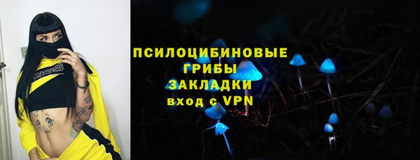 мяу мяу мука Дмитриев
