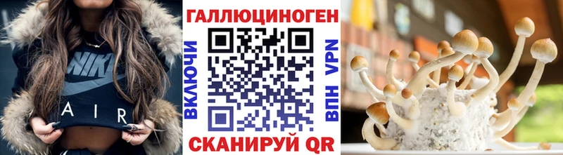 Псилоцибиновые грибы Psilocybine cubensis  OMG зеркало  Новочебоксарск 