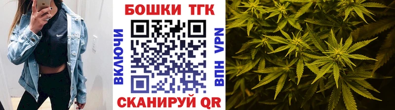 Бошки марихуана индика  где найти наркотики  Новочебоксарск 